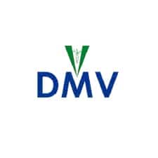 Emblema de DMV
