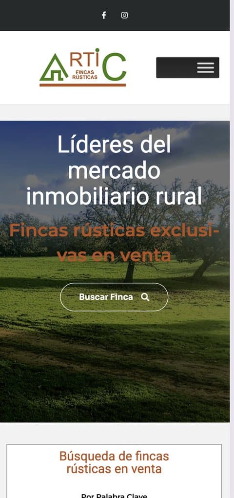 Versión móvil